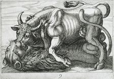 A Bull Fighting a Lion, 1610. Creator: Hendrick Hondius I