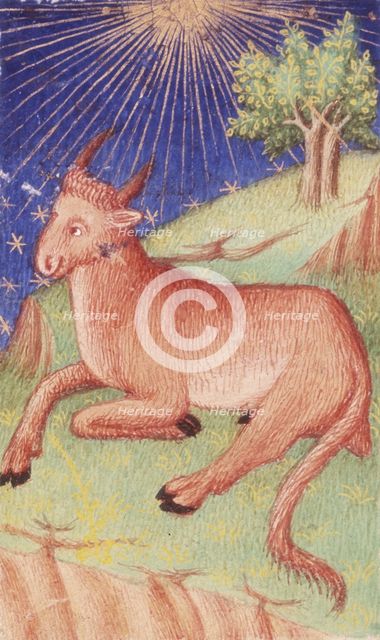 A bull lying down, 1423. Creator: Unknown.