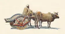 A Bullock Cart, Jodhpur c1880 (1905). Creator: Alexander Henry Hallam Murray