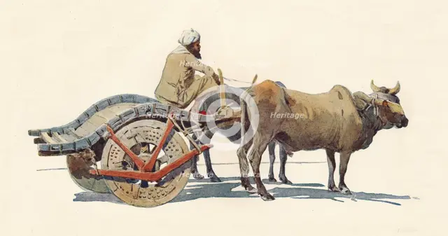 'A Bullock Cart, Jodhpur', c1880 (1905). Creator: Alexander Henry Hallam Murray.