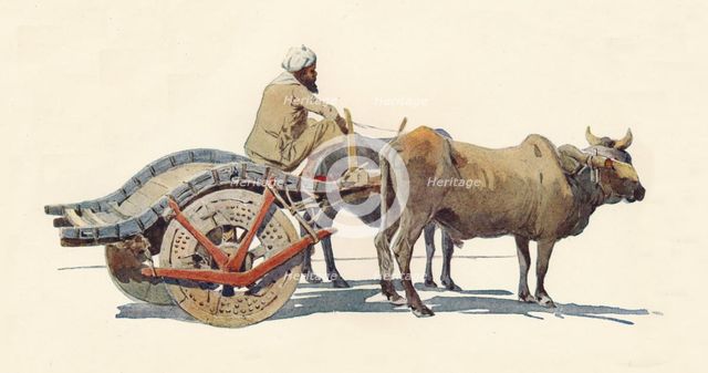 'A Bullock Cart, Jodhpur', c1880 (1905). Creator: Alexander Henry Hallam Murray.