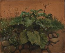 A Burdock and Other Plants on a Stone Wall, 1847. Creator: Johan Thomas Lundbye