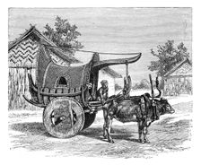 A Burmese wagon, Burma (Myanmar), 1895