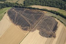 A burnt out combine harvester and fire scorched fields near Pleasley, Derbyshire, 2022. Creator: Emma Trevarthen