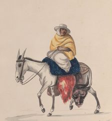 A butcher riding a donkey, from a group of drawings depicting Peruvian costume, ca. 1848. Creator: Attributed to Francisco (Pancho) Fierro