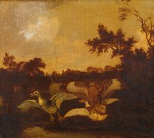 A Buzzard Attacks two Ducks, c.1635-c.1678. Creator: Dirck Wijntrack