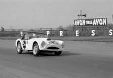 A.C. Ace-Bristol, Ecurie Chiltern at Silverstone 1959. J. McKechnie. Creator: Unknown