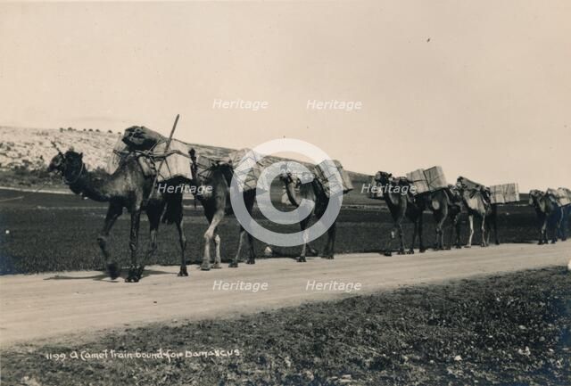 A Camel Train bound for Damascus, 1936. Artist: Unknown