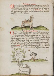 A Camel with a Fly on its Back: Insects in a Vineyard and a Stork..., third quarter of 15th century. Creator: Unknown