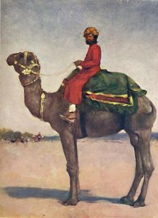 A Camel Rider from Kota 1903. Artist: Mortimer L Menpes