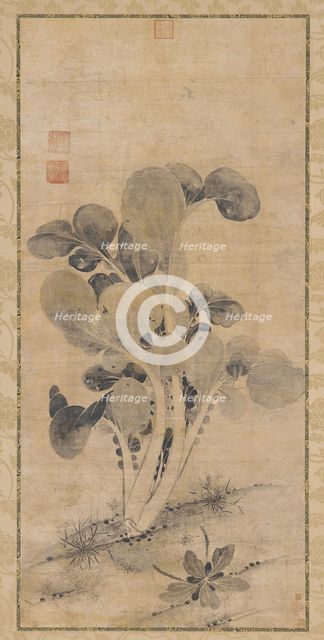A Cabbage Plant, Late Yuan or early Ming dynasty, 14th-15th century. Creator: Unknown.
