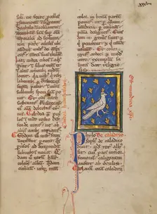 A Caladrius Bird; Bestiary, about 1270. Creator: Unknown