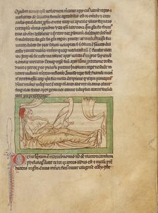 A Caladrius; Northumberland Bestiary, about 1250-1260. Creator: Unknown