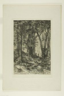 A California Forest, 1888. Creators: Mary Nimmo, Thomas Moran