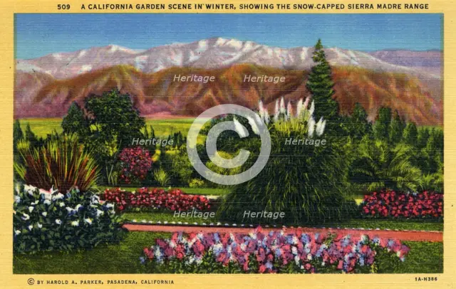 'A California Garden Scene in Winter Showing the Snow-capped Sierra Madre Range', 1931. Artist: Unknown