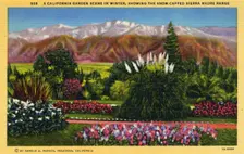 A California Garden Scene in Winter Showing the Snow-capped Sierra Madre Range 1931