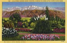A California Garden Scene in Winter Showing the Snow-capped Sierra Madre Range 1931