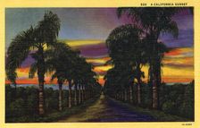 A California Sunset postcard, 1931
