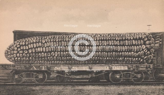A Car Load of Texas Corn, ca. 1910. Creator: George B. Cornish.
