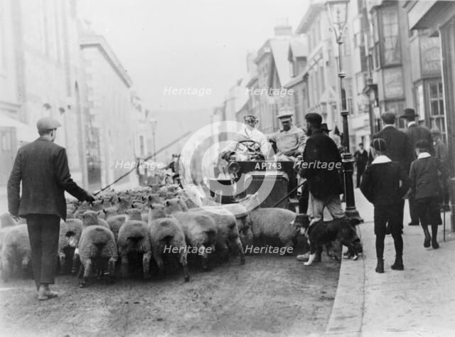 A car surrounded by sheep, Lewes High Street, East Sussex. Artist: Unknown