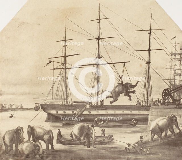 A Cargo of Seventy Elephants Landing from Burmah during the 1857 Mutiny], 1858-61. Creator: Unknown.