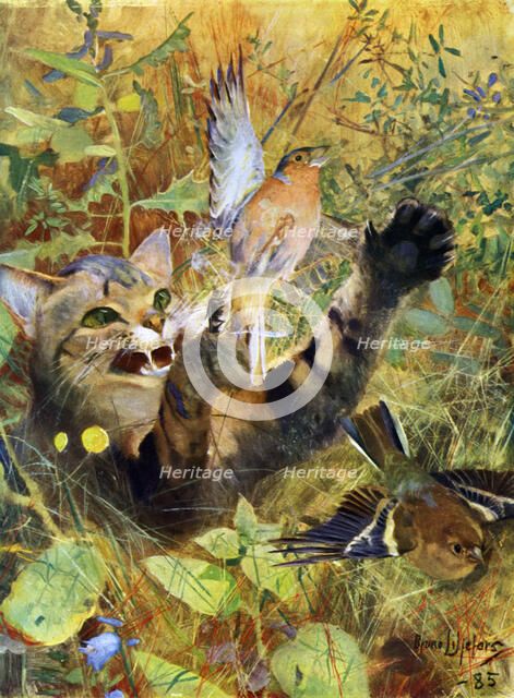 'A Cat and a Chaffinch', 1885 (1945).  Artist: Bruno Liljefors