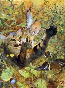 A Cat and a Chaffinch 1885 (1945). Artist: Bruno Liljefors