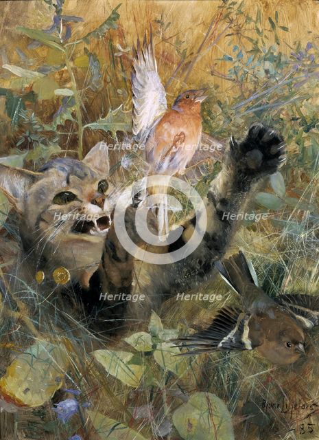 A Cat and a Chaffinch. Five animal studies in one frame, 1885. Creator: Bruno Liljefors.