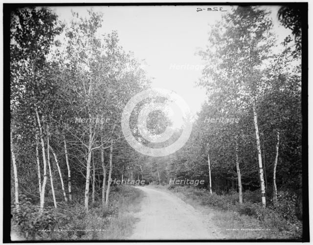 A Catskill Mountain road, (1902?). Creator: Unknown.