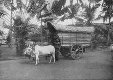 A Ceylon Bullock Cart c1890, (1910). Artist: Alfred William Amandus Plate