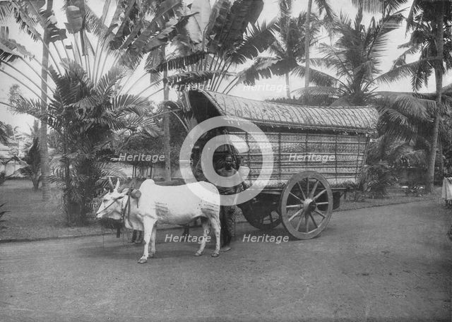 'A Ceylon Bullock Cart', c1890, (1910). Artist: Alfred William Amandus Plate.