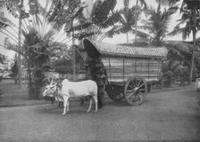 A Ceylon Bullock Cart c1890, (1910). Artist: Alfred William Amandus Plate