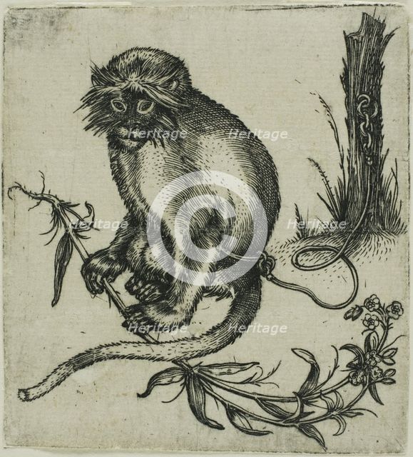 A Chained Monkey, 1559/1596. Creator: Franz Brun.