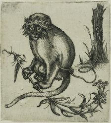 A Chained Monkey, 1559/1596. Creator: Franz Brun