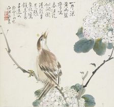A Chinese Hwamei, 1857. Artist: Jin Yuan