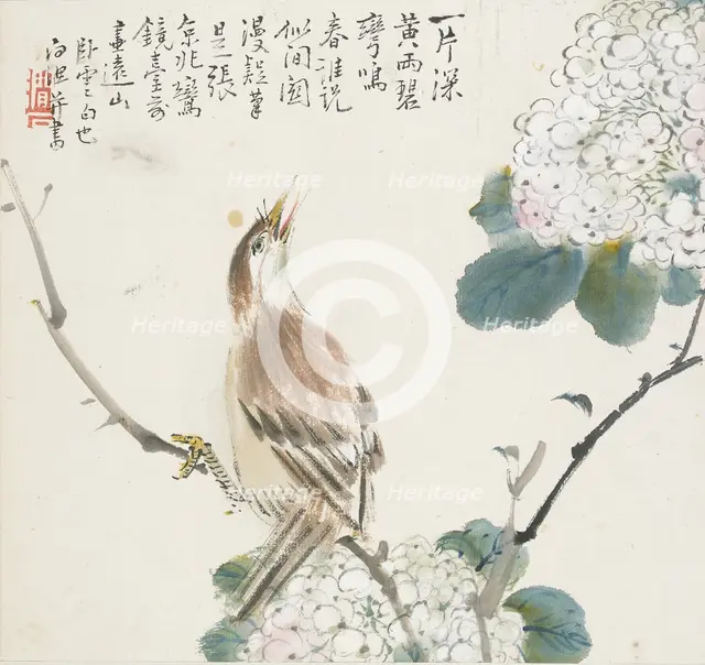 A Chinese Hwamei, 1857. Artist: Jin Yuan.