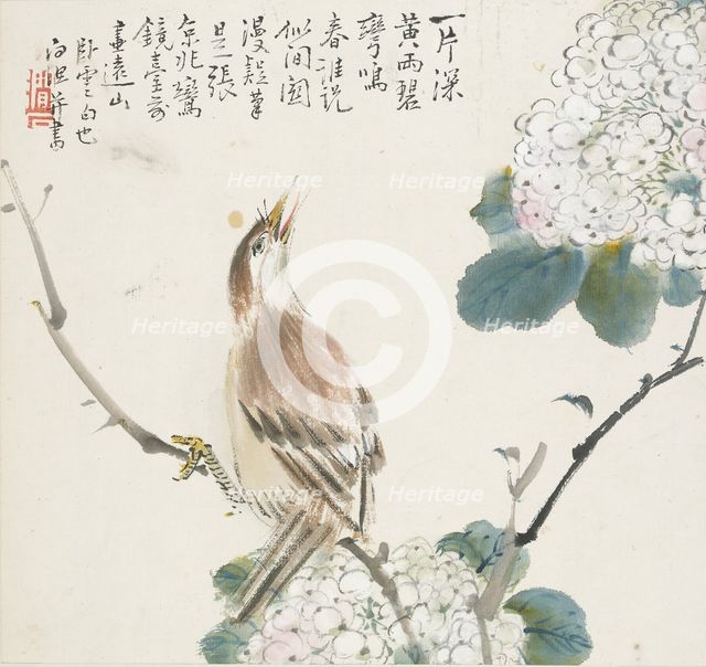 A Chinese Hwamei, 1857. Artist: Jin Yuan.