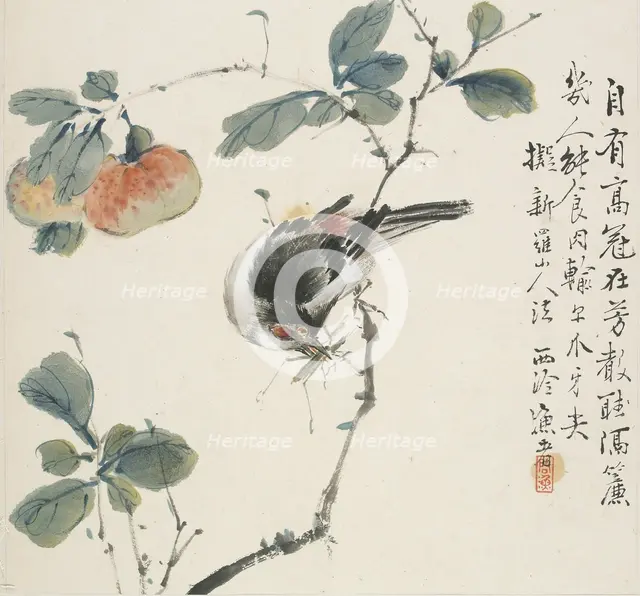 A Chinese Hwamei eating a grasshopper, 1857. Artist: Jin Yuan.