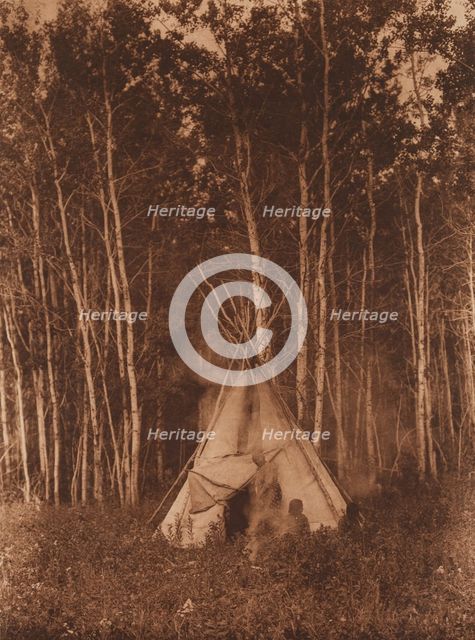 A Chipewyan Tipi among the Aspens, 1926. Creator: Edward Sheriff Curtis.