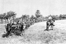 A convoy of wagons, South America, 1895