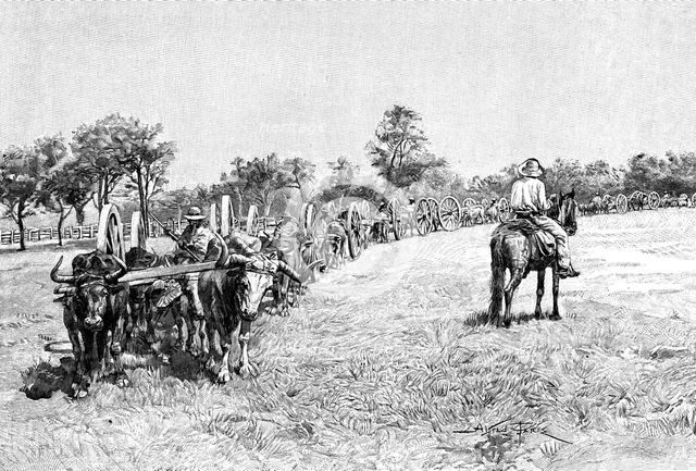 A convoy of wagons, South America, 1895. Artist: Unknown