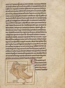 A Coot; Northumberland Bestiary, about 1250-1260. Creator: Unknown