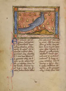A Coot; Bestiary, about 1270. Creator: Unknown