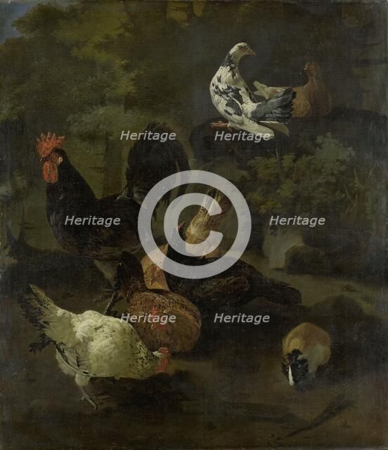 A Cock, Hens, Doves, and a Marmot, 1674. Creator: Jacomo Victors.