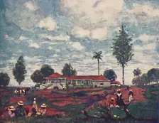 A Coffee Fazenda 1916. Artist: A S Forrest
