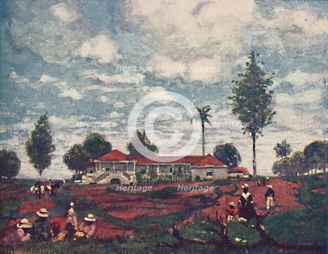 'A Coffee Fazenda', 1916. Artist: A S Forrest.