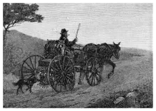 A Colac Rabbit Trapper, 1886.Artist: Frederic B Schell