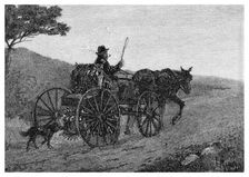 A Colac Rabbit Trapper, 1886.Artist: Frederic B Schell