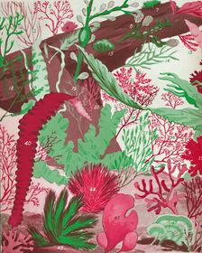A Collection of Over Fifty Species of Red, Green and Brown Seaweeds 1935