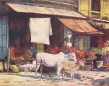 A Corner of the Fruit Market, Delhi 1905. Artist: Mortimer Luddington Menpes